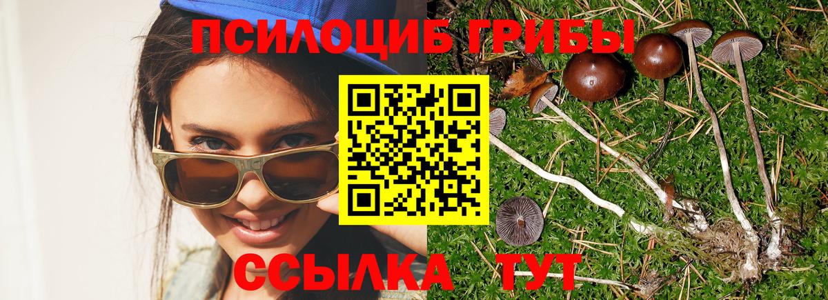 Москва  Псилоцибиновые грибы ЛСД  Вход с VPN 